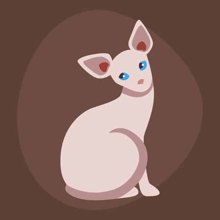 Cat breed cute pet sphinx portrait fluffy young adorable cartoon animal and pretty fun play feline sitting mammal domestic kitty vector illustration.のイラスト素材