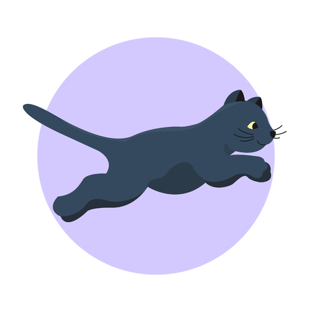 Cat breed cute kitten black pet portrait fluffy young adorable cartoon animalのイラスト素材