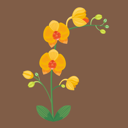 Flower summer natural plant vector illustration.のイラスト素材