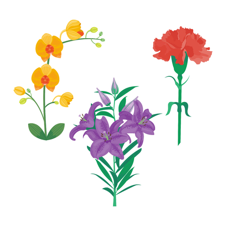 Cartoon petal vintage floral vector bouquet garden flower botanical natural peonies.のイラスト素材