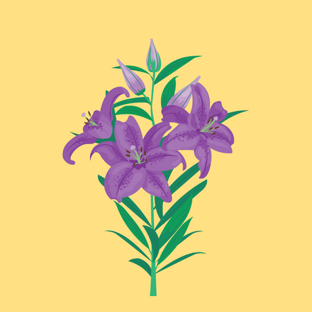 Flower summer natural plant vector illustration.のイラスト素材