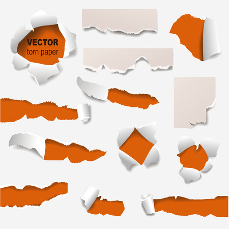Collection of torn edges of a hole paper vector illustration.のイラスト素材