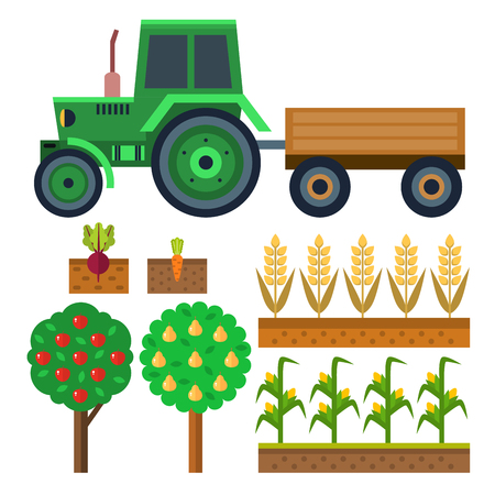 Vector farm harvesting equipment for agriculture and horticulture healthy natural fruits and hand toolsのイラスト素材