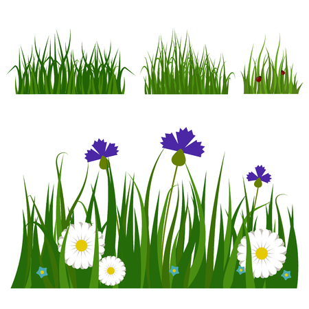Green grass border plant lawn nature meadow ecology summer gardening vector illustrationのイラスト素材