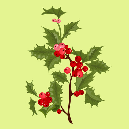 Christmas decorative leaves holly and branches with winter red berriesのイラスト素材
