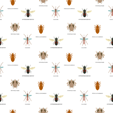 Human skin parasites vector housing pests insects disease parasitic bug macro animal bite dangerous infection medicine pest seamless pattern background illustration.の写真素材