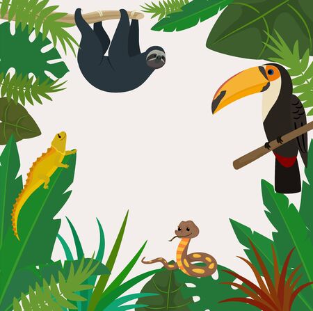 Tropical exotic plant and animal vector illustration. Summer green rainforest foliage and toucan, snake, lizard, sloth background border. Space for text.のイラスト素材