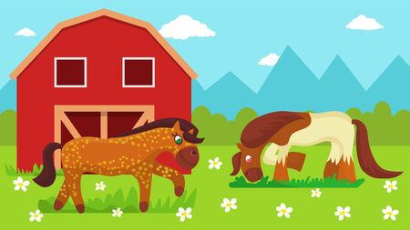 Two cute cartoon horses walking outdoor and eating grass on farm pasture meadow with flowers near stable vector illustration flat style. Horse breeding animal husbandry.のイラスト素材