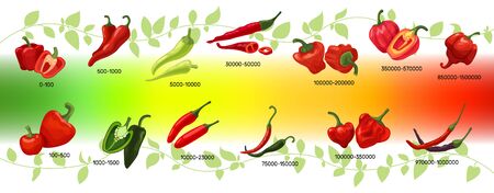Scoville scale of chilli peppers infographic vector illustration. Heat units for red and green chili pods, spicy, mild and extreme hot taste level score. Scalable spice peppers on multicolor gradient backgroundのイラスト素材