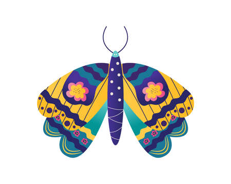 Wild wildlife forest butterfly isolated on white, icon cartoon vector illustration. Living nature animal moth insect.のイラスト素材