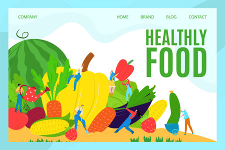 Healthy food landing page concept, vector illustration. Cartoon vegetarian lifestyle with vegetable diet website. Woman man people character care about health, organic product template banner.のイラスト素材