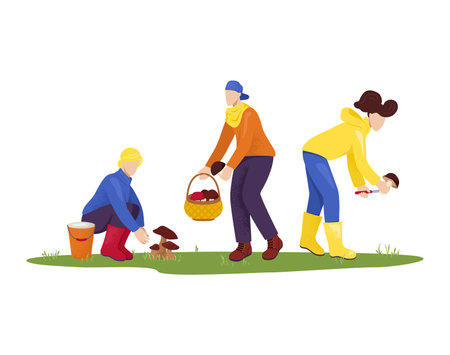 Cheerful people character male and female collect mushroom field, together friend forest picking fungus flat vector illustration, isolated on white. Concept ecology vegetarian foodstuff, outdoor walk.のイラスト素材
