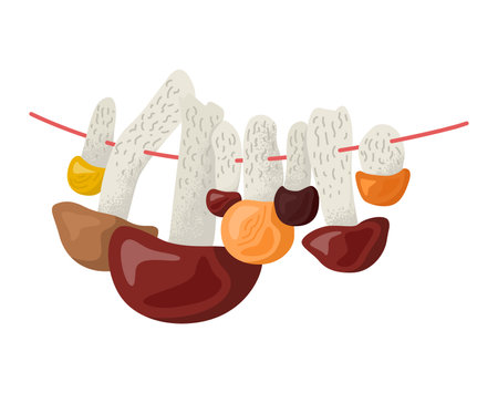 Concept dry forest mushroom on rope, collect fungal foodstuff from outdoor woodland place flat vector illustration, isolated on white. Various wood organic food, vegetarian vegan product nutrition.のイラスト素材