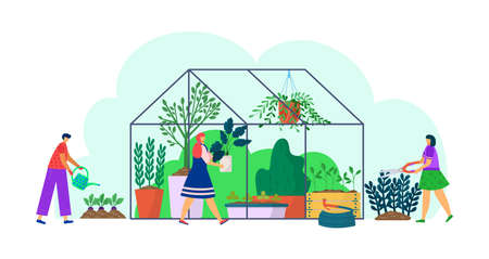 Plant grow in greenhouse, garden nature at building, vector illustration. Cartoon gardening with green agriculture plant, flower. Flat man womanのイラスト素材
