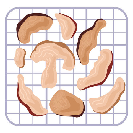 Sliced mushrooms drying on metal grid rack. Dehydrated food preparation process. Kitchen and culinary vector illustration.のイラスト素材