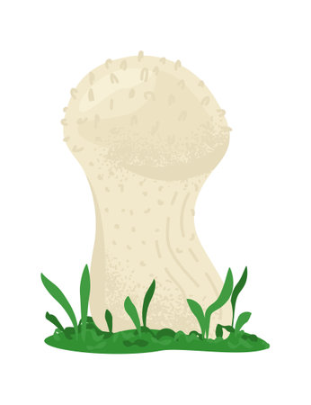 Cartoon mushroom with a broad cap and grass at the base. Simple stylized fungi illustration, nature theme. Mushroom growth, forest plant vector illustration.のイラスト素材
