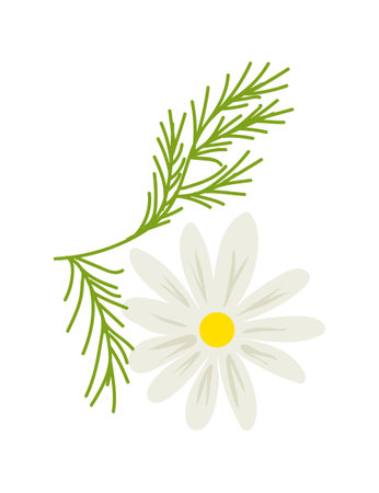 Simple white daisy flower with yellow center and green stem. Floral design element for decoration vector illustration.のイラスト素材