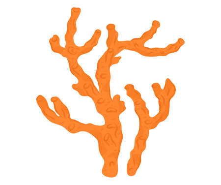 Coral branch isolated on white. Orange sea coral reef. Marine life and ocean ecosystem vector illustration.のイラスト素材