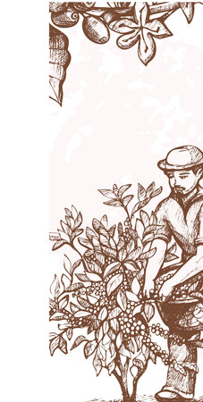 Sketch of a man cultivating plants, farmer inspecting coffee tree. Agriculture worker, plantation, tropical farm vector illustrationのイラスト素材