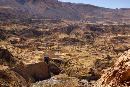 terraces, colca canion, peru