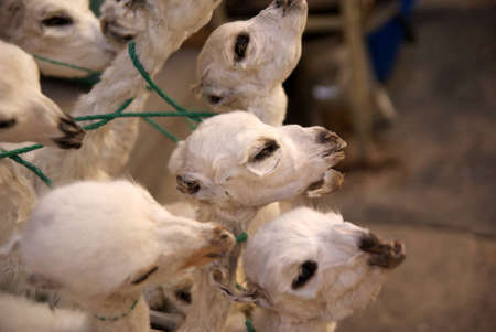 Witches Market, La Paz, Boliviaのeditorial素材