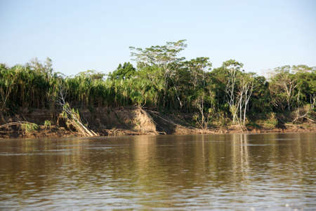 Beni river, Rurrenabaque, Bolivia