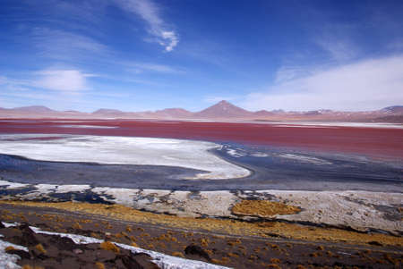 Laguna Colorado, Boliviaの写真素材