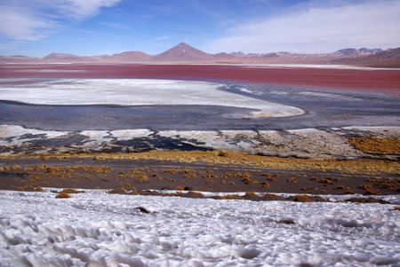 Laguna Colorado, Boliviaの写真素材