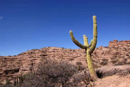 Amaizing landscape near Tupiza, Boliviaの写真素材