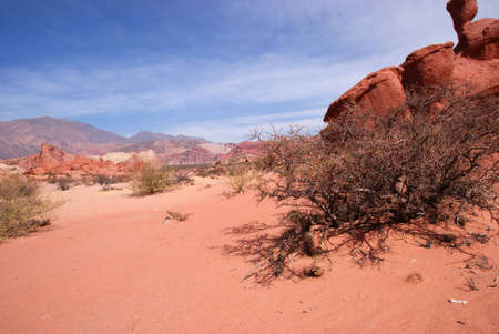 Desert atacama, andean landscape with canyons, Cafayate, Argentina