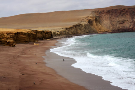 Cliff coast of Atacama desert near Paracas in Peruの写真素材