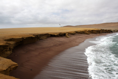 Cliff coast of Atacama desert near Paracas in Peruの写真素材