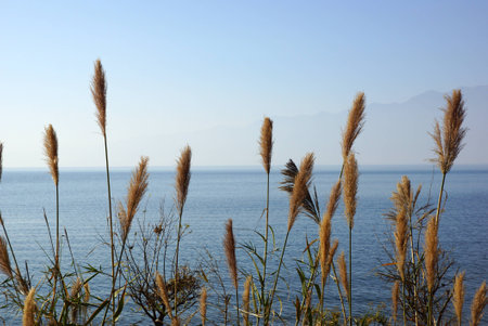 Erhai Lake near Dali, Yunnan province, Chinaの写真素材