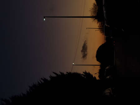 peaceful green nature colorful leaves in autumnの写真素材