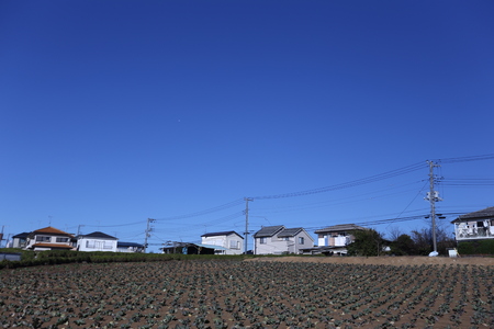 local house in yokohamaのeditorial素材