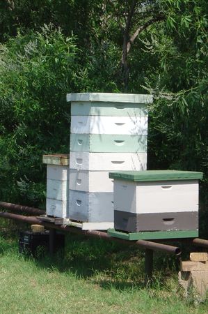 Modern Bee hives