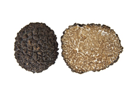 section of a black truffle (tuber aestivum)の写真素材