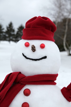 Cheerful snowman on a cloudy winter afternoon.の写真素材