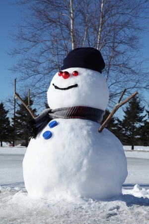 Snowman in his casual blue outfit.の写真素材