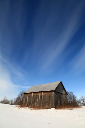 Bright winter morning in a field located in Quebec, Canada.の写真素材