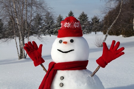 Cheerful snowman on a cold and bright winter morning.の写真素材