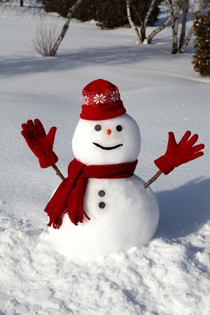 Cute snowman on a bright and cold winter morning.の写真素材