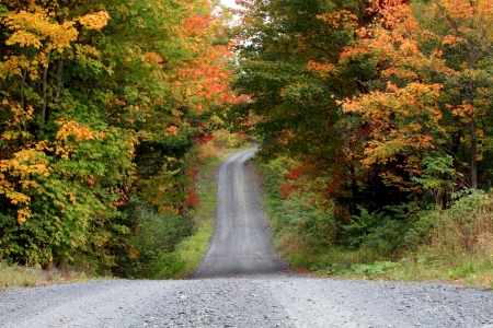 Beautiful autum colors in the countryside