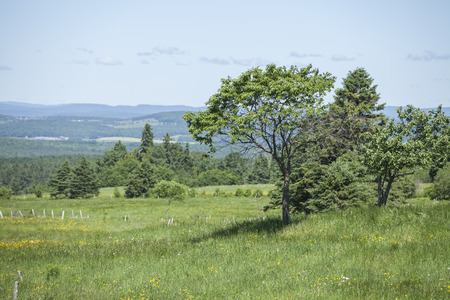 Beautiful countryside sceneの写真素材