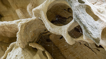 A delicate spider web glistens with morning dew, delicately stretched across rugged sandstone rock. A quiet testament to nature's intricate beauty and resilience in a serene desertの写真素材