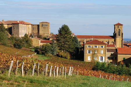 Vinyard around a medieval golden village called Theizé (Beaujolais / France)の写真素材