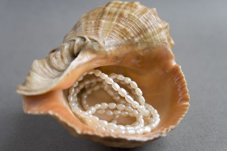 Pearls on the cockleshell isolated on greyの写真素材