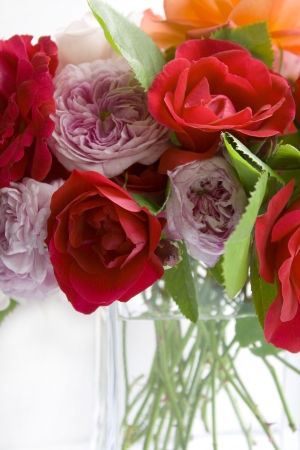 Bouquet of roses on a white backgroundの写真素材