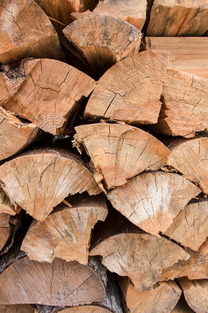 The old wood in soft and blur style for the backgroundの写真素材