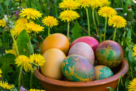 Color Easter eggs on pastel colors and flowersの写真素材